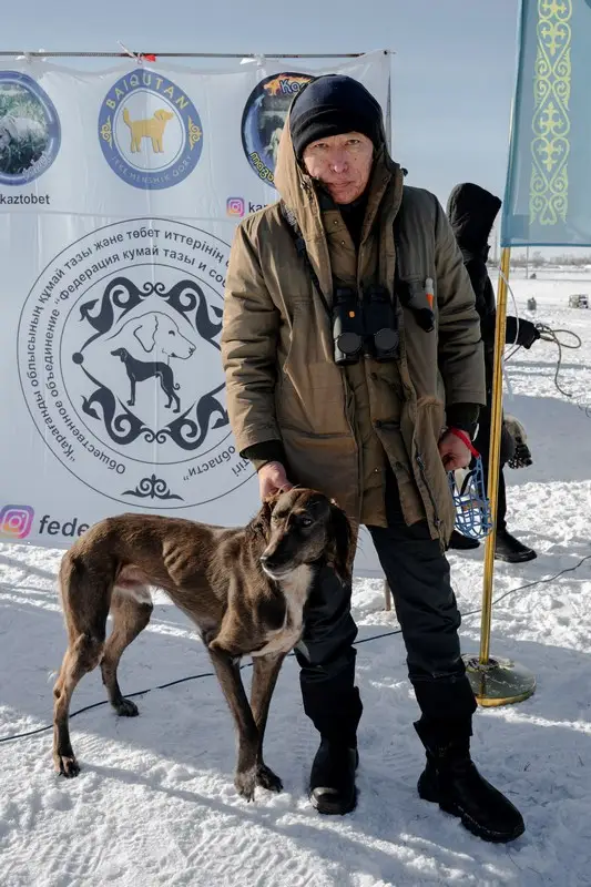 Традиции степи: самых быстрых тазы выбрали в Бухар-Жырауском районе (3)