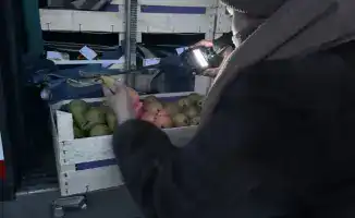 Груши без сертификата: 19 тонн фруктов вернулись в Бельгию, как бумеранг