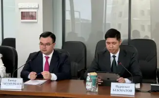 Поддержка молодежных организаций конституционных реформ в Астане