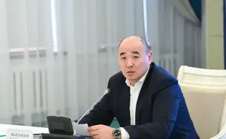 Обсуждение международной поддержки и развития предпринимательства в Кызылординской области