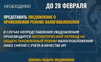 Не упустите шанс: выберите свой налоговый режим!