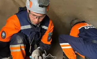 Спасение более 400 животных в 2025 году: героизм спасателей МЧС и социальная ответственность общества