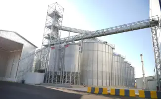 Рост экспорта мяса из Туркестанской области: влияние на продовольственную безопасность и рынок