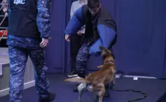 Студенты восторженно встретили звёзд КВН на встрече о вреде наркотиков