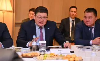 Сотрудничество с зарубежными инвесторами: новые проекты в деревообработке и солнечной энергетике