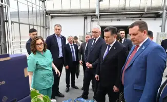 Визит делегации ВКО в крупнейшую теплицу Барнаула: перспективы для сотрудничества в агропромышленности и образовании