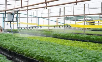 Экономия водных ресурсов в Туркестанской области: влияние на сельское хозяйство и будущее региона