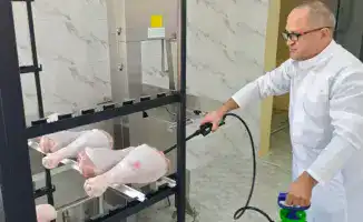 Мясо птицы теперь хранится в 3 раза дольше!