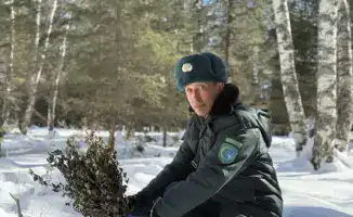Зимняя забота: спасательный круг для диких животных в Катон-Карагайском парке