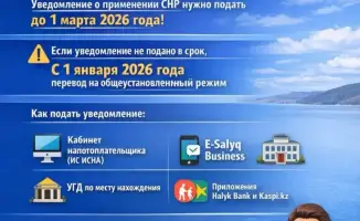 Выбор пути: как не сбиться с курса в налоговом лабиринте до 28 февраля 2026 года