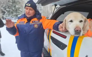 Обучение детей правилам безопасности с МЧС: формирование ответственного поведения в экстренных ситуациях