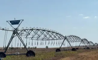 Внедрение водосберегающих технологий КазНИИВХ: шаг к устойчивому развитию сельского хозяйства в Казахстане