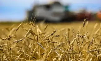 Проекты глубокой переработки сельхозпродукции и развитие животноводства в Казахстане