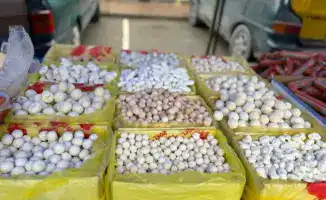 Ярмарка продуктов в Туркестане: цены ниже рынка