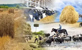 Кооперативы в Казахстане: рост на 1,5 раза за 5 лет!