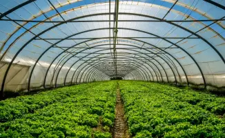 Теплицы в Казахстане 2026 года 2319 единиц 12100 квадратных метров