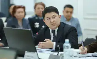 Зимовка скота в Жамбылской области под контролем