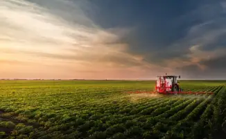 Алматинская область увеличила инвестиции в АПК