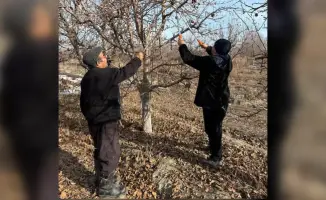 Математик из Жетісу развивает семейный сад