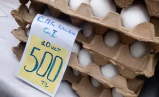 В Актау на ярмарке реализованы 2 тонны картофеля из стабилизационного фонда