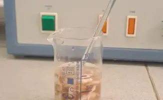 Инновации в сохранении шкур КРС в Казахстане