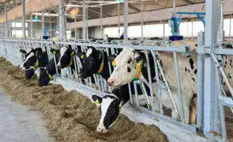 Запуск молочно-товарной фермы на 600 голов в Восточно-Казахстанской области