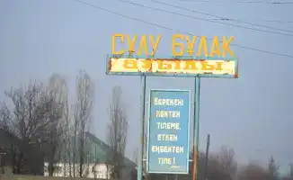 Улучшение санитарного состояния населенных пунктов в Туркестанской области