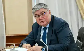 новые проекты инвестиции прядильные фабрики переработка шкур бытовая химия