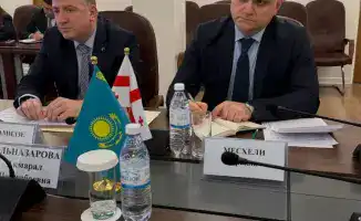 Казахстан и Грузия: новые горизонты сотрудничества в области здравоохранения