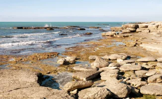 Каспий под защитой: миллиардные инвестиции в охрану морского сокровища