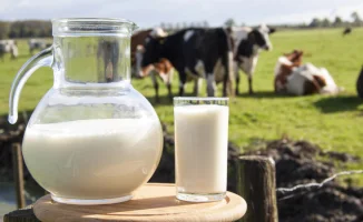 Депутат Кыргызстана обеспокоена обеспечением страны молочными продуктами на фоне экспорта в Казахстан