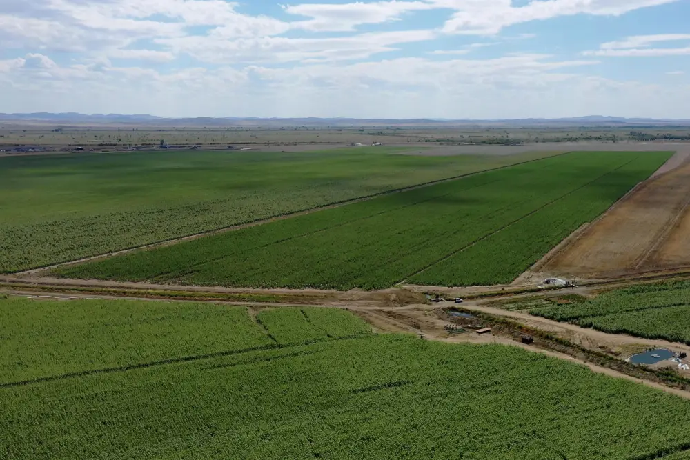 В области Абай рассмотрели ход подготовки к весенне-полевым работам (5)