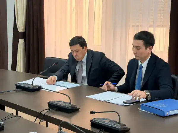 В Казахстане обновят 17 тыс. км электролиний и 444 высоковольтных подстанций (6)