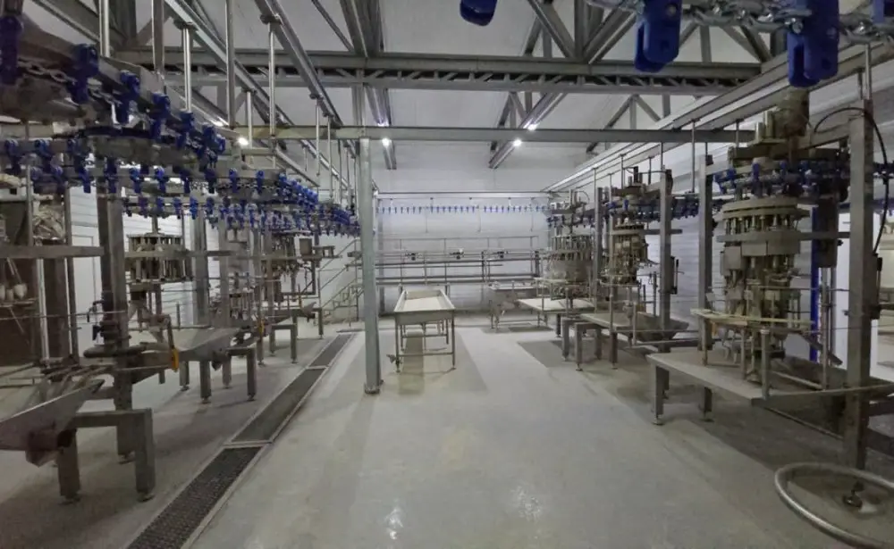 Птицефабрику мощностью 3,5 тыс. тонн в год запустят в Кызылординской области (5)