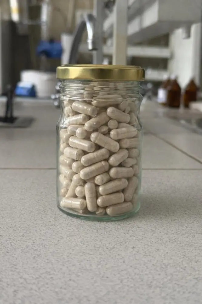 Ученые разрабатывают растительную БАД для укрепления иммунитета и профилактики диабета (3)