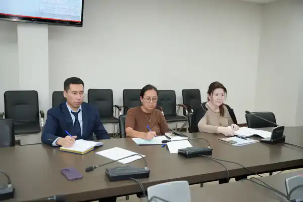 В Казахстане обновят 17 тыс. км электролиний и 444 высоковольтных подстанций (3)