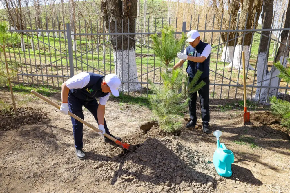 Президентская инициатива «Таза Қазақстан»: Олжас Бектенов принял участие в акции «Мөлдір бұлақ» в Туркестанской области (4)