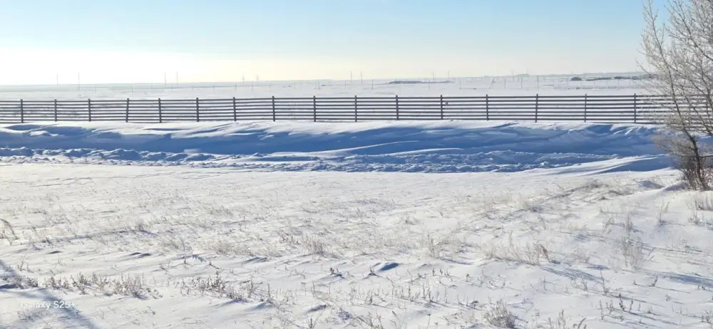 Зима без заносов: на трассе «Астана – Кокшетау» тестируют новую снегозащитную систему (2)