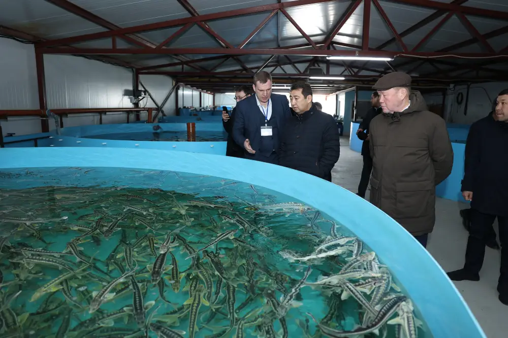Рабочий визит Министра сельского хозяйства в Костанайскую область (6)