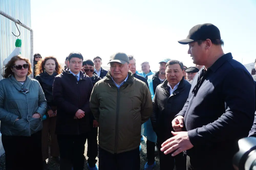 Калмыцкая порода КРС набирает популярность в Акмолинской области (3)