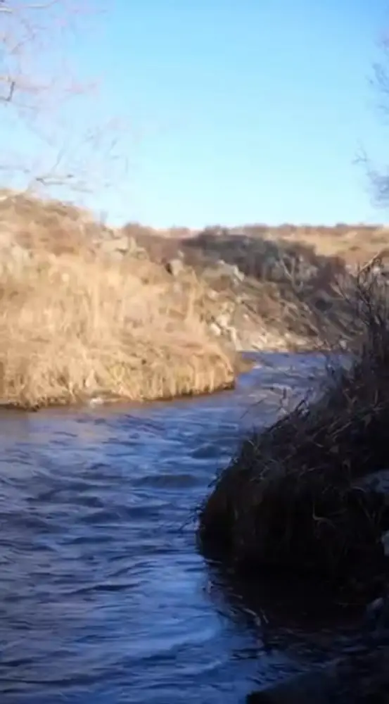 В ВКО в ходе новой экоакции очищены родники и берега водоёмов (4)