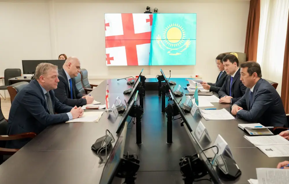 Грузия заинтересована в расширении сотрудничества с Казахстаном в сфере АПК (4)