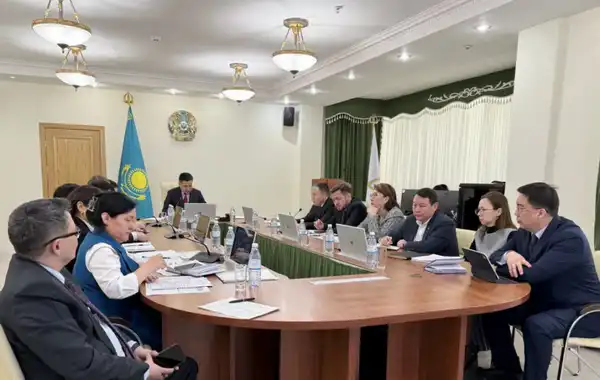 В Минтруда рассмотрели вопросы подушевого финансирования спецсоцуслуг, унификации социальной помощи и безопасности труда (4)