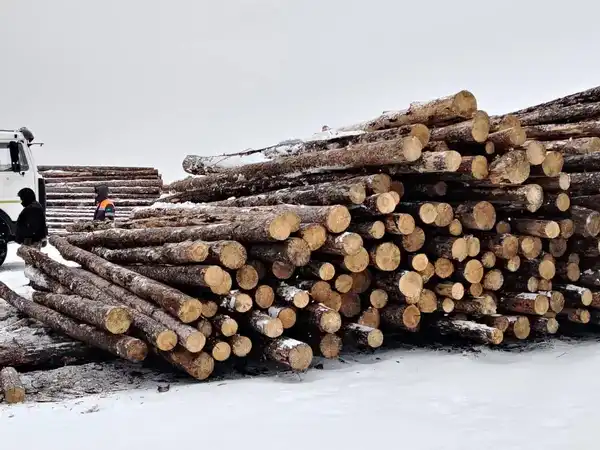 В Казахстане подведены итоги пилотного проекта по маркировке древесины (4)