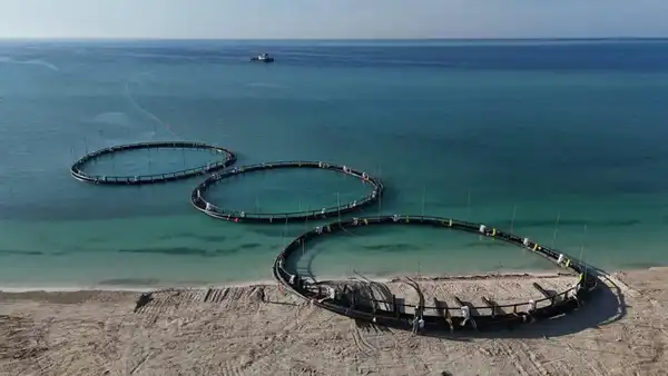 40 проектов в сфере аквакультуры реализуется в Казахстане (2)