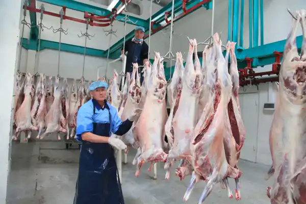 Более 2,5 тыс. человек работают в сфере переработки сельхозпродукции в Жамбылской области (3)