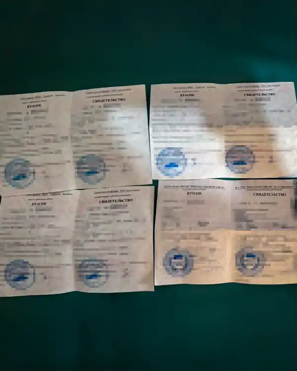 О противодействии коррупции (5)