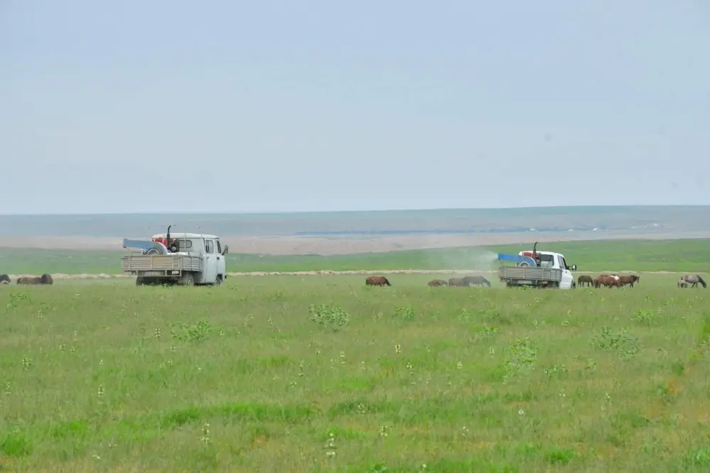 В ТУРКЕСТАНСКОЙ ОБЛАСТИ К БОРЬБЕ С САРАНЧОЙ ПРИВЛЕКУТ БОЛЕЕ 2 ТЫСЯЧ ЧЕЛОВЕК (4)