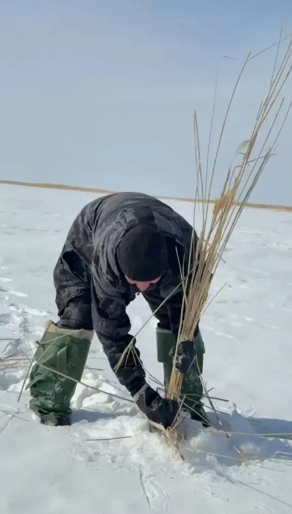На озере Зайсан проведены работы по аэрации воды (2)