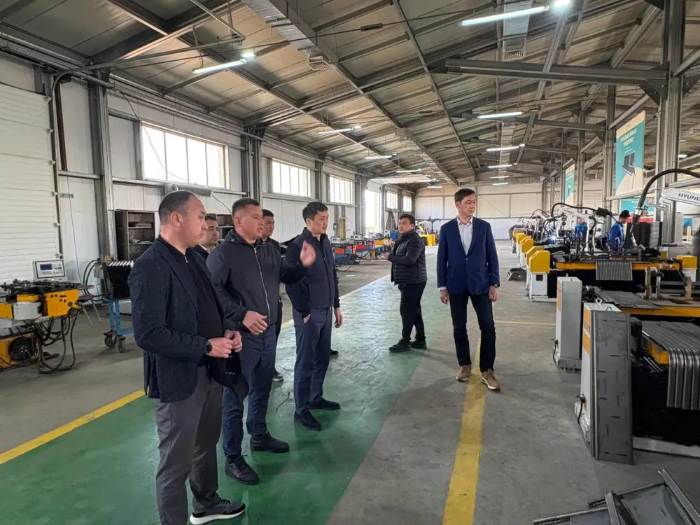 ОПЫТ ТУРКЕСТАНСКОЙ ОБЛАСТИ ПО СОЗДАНИЮ МАЛЫХ ПРОМЫШЛЕННЫХ ПАРКОВ ПРИМЕНЯТ В ДРУГИХ РЕГИОНАХ СТРАНЫ (2)